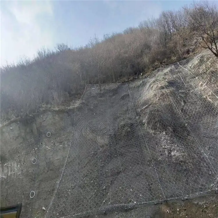 厂家供应3米环形防护网价格广东主动边坡防护网边坡防护网订做