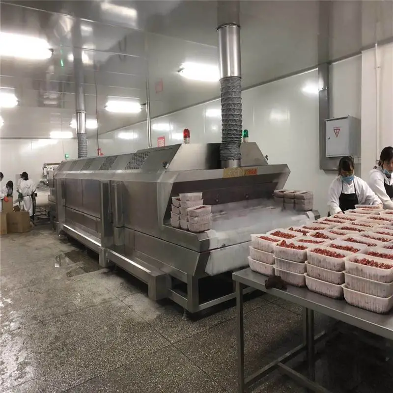 商洛食品速冻机哪家好 海参液氮制冷设备