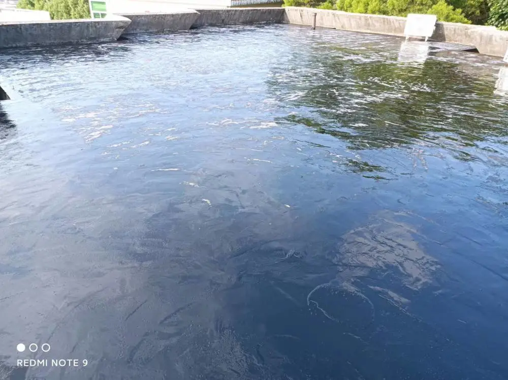 珠海三灶外墙防水补漏师傅电话楼面防水维修