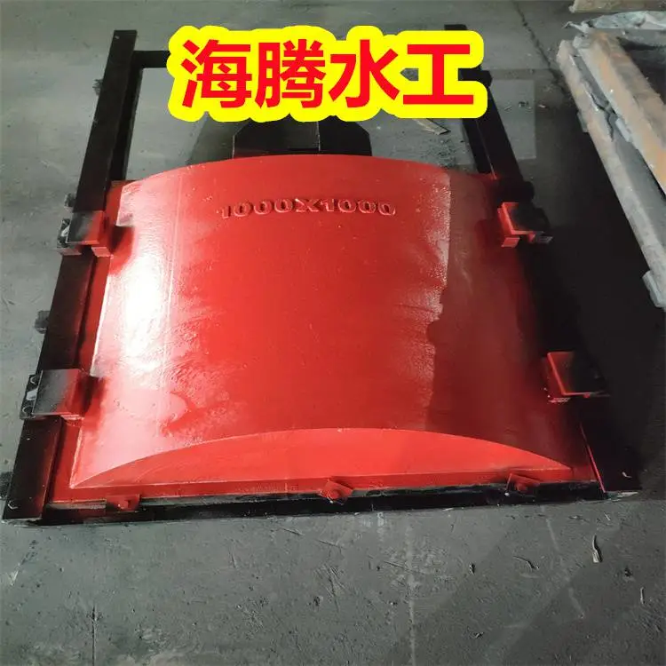 贵州毕节渠道节制闸 AYZ-300暗杆式铸铁闸门 各类水利设备
