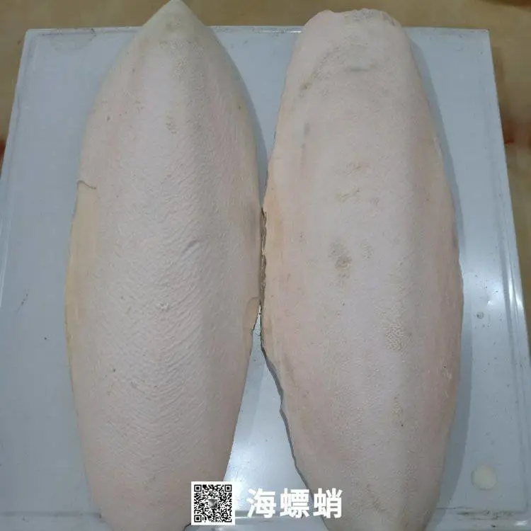 供应海螵蛸/海螵蛸批发零售