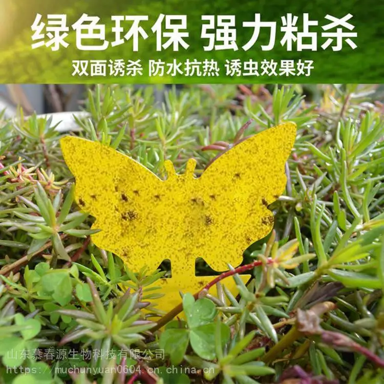苍蝇板捕虫板 诱虫板价格批发 大号棚粘虫板 慕春源