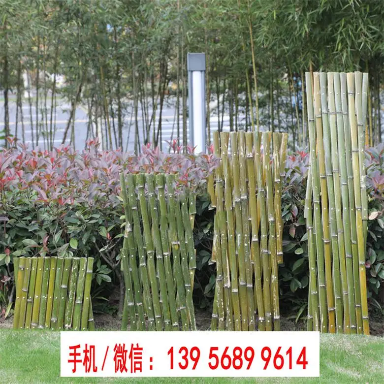 崇左市 竹篱笆 竹子护栏宁波市北仑仿竹栏杆仿竹护栏