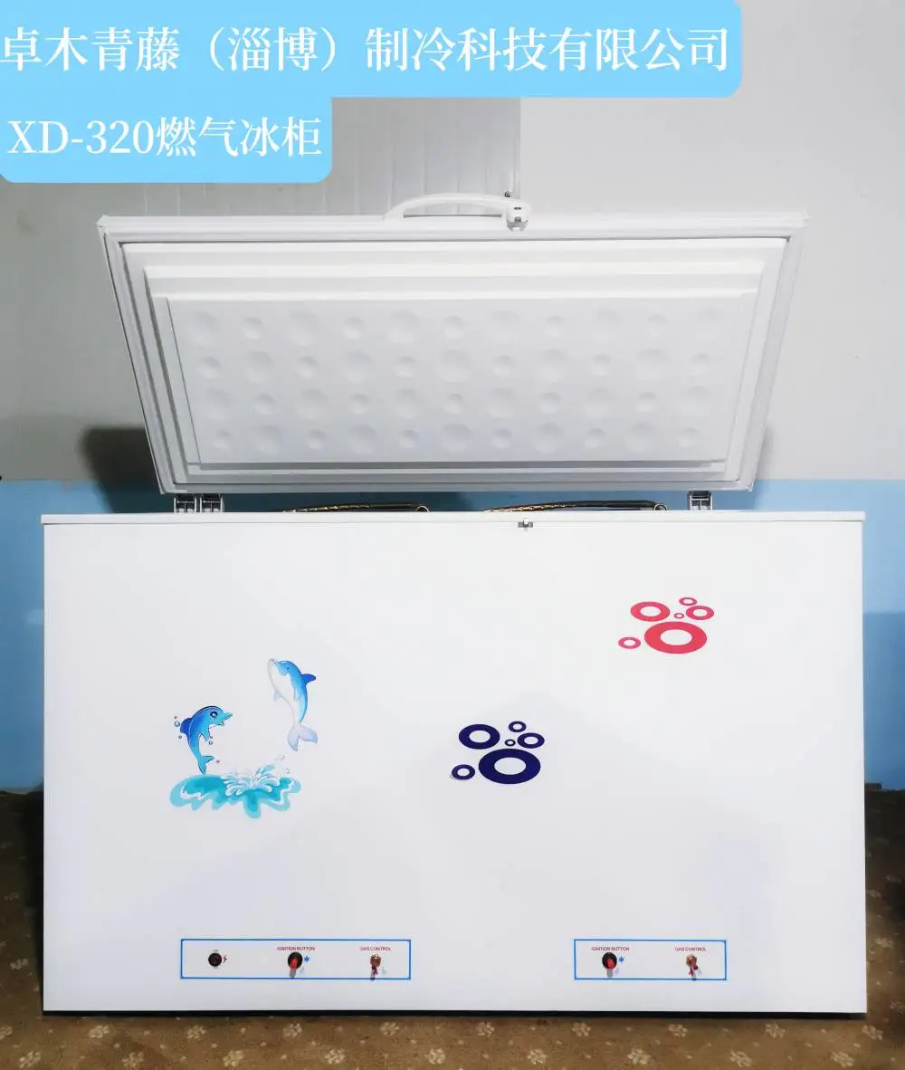 液化气冰箱 天然气冰箱 燃气冰箱冰柜大体积冷冻冷藏冰柜