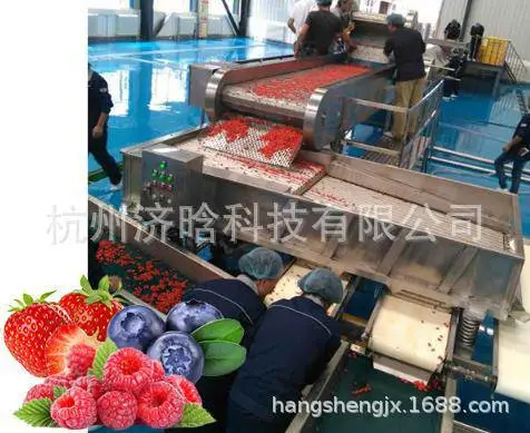 浆果类加工生产线7