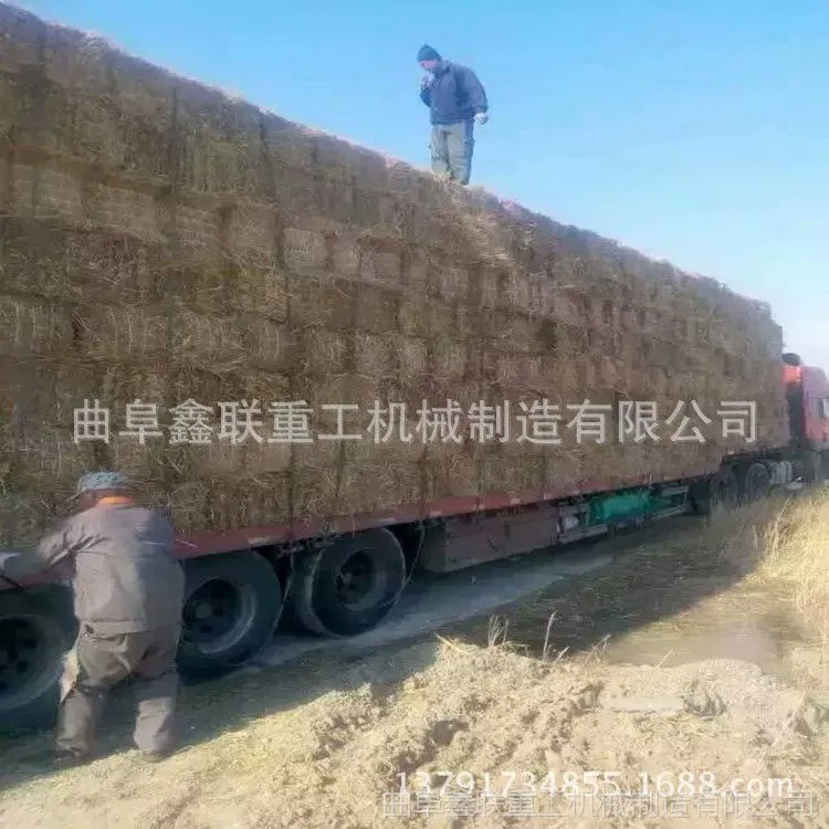 QQ图片20170411104307_副本.jpg