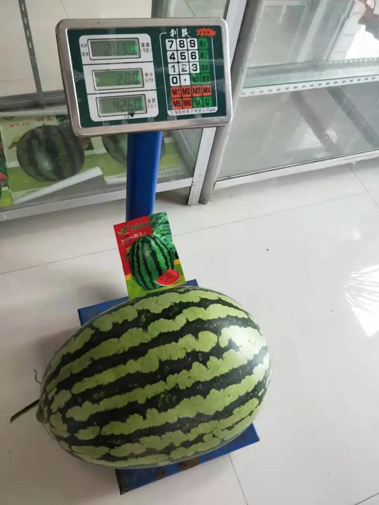 甜王西瓜种子 高品质甜王品种 双红抗病甜王西瓜种子