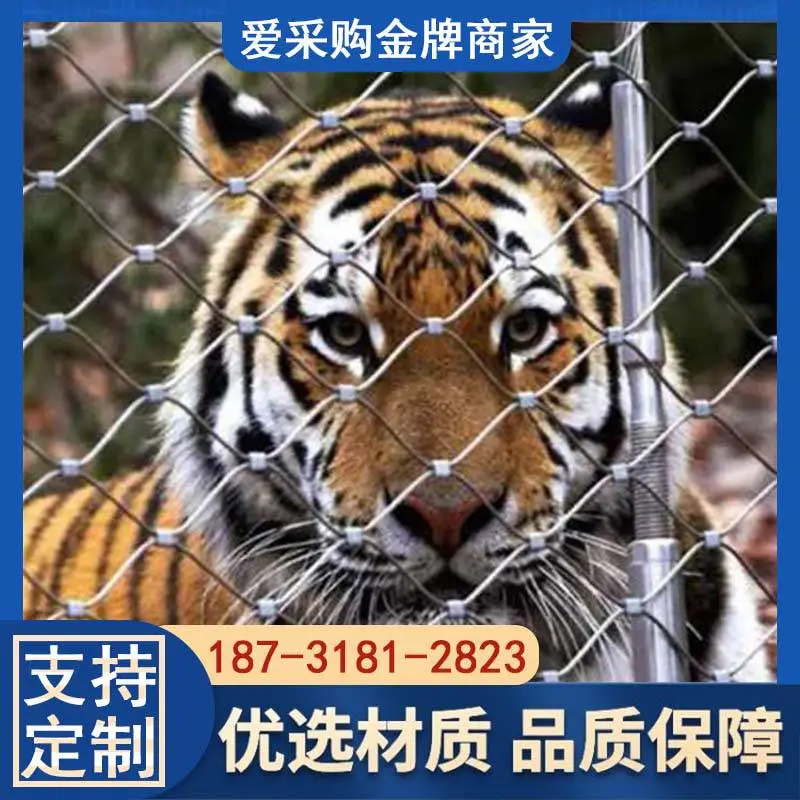304不锈钢防坠网 动物园防护网 植物攀爬钢丝网学校高空防坠落绳网