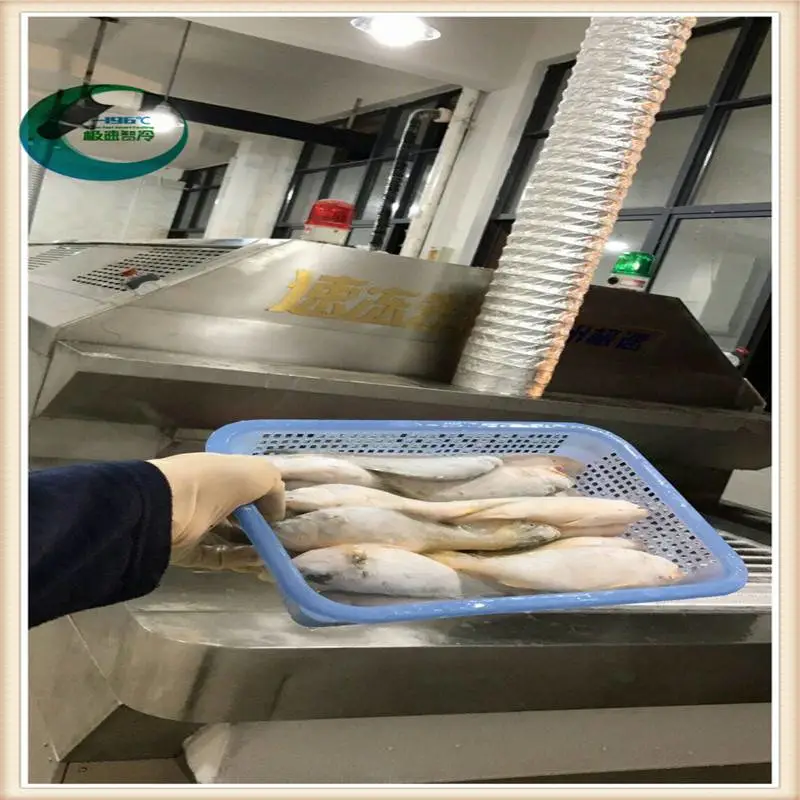广东阳江隧道式液氮速冻生产线 包子液氮速冻设备售后服务好