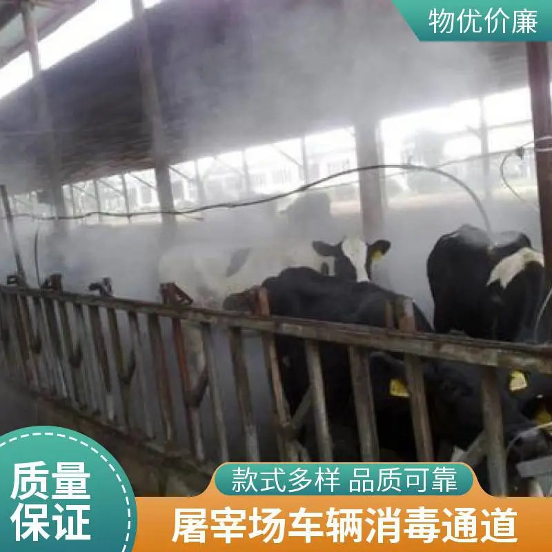 车辆消毒通道6立杆 自动喷雾 不锈钢立杆 防腐