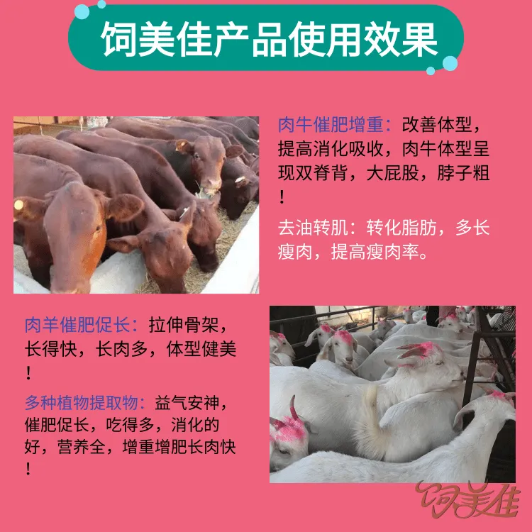 饲美佳 牛用催肥添加剂 羊添加剂催肥促长 改善体型多长瘦肉
