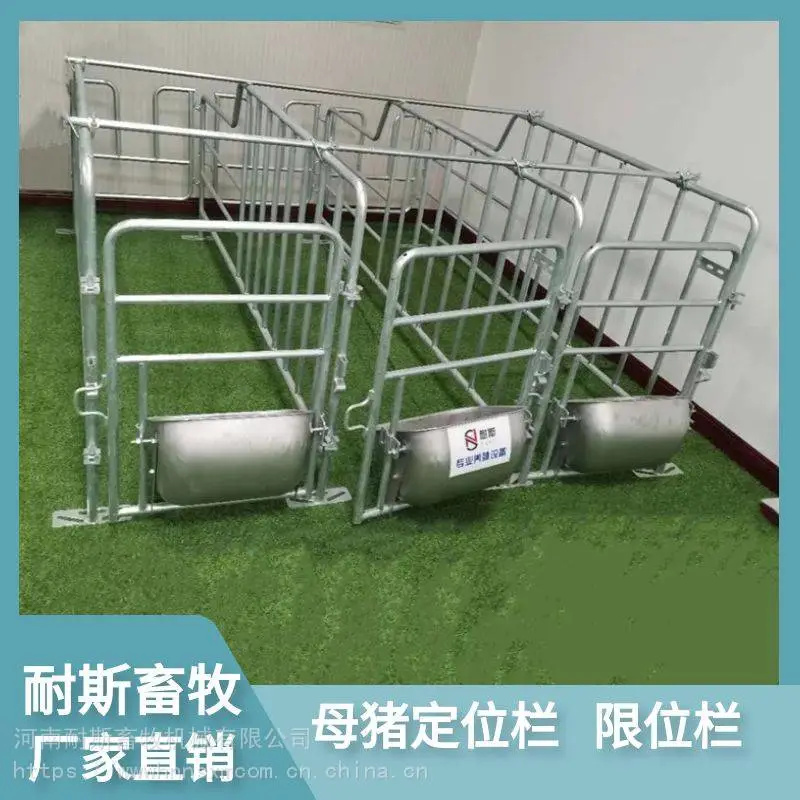 定位栏 耐斯畜牧 整体热浸锌材质 母猪定位栏