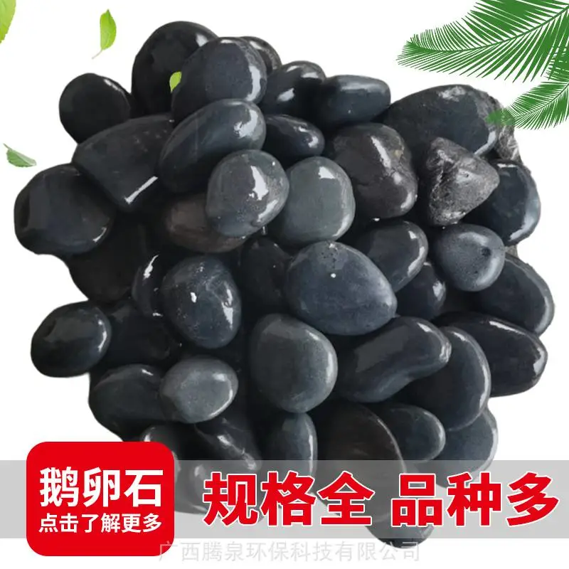 东营 鹅卵石 干粘石 鱼缸造景鹅卵石 腾泉