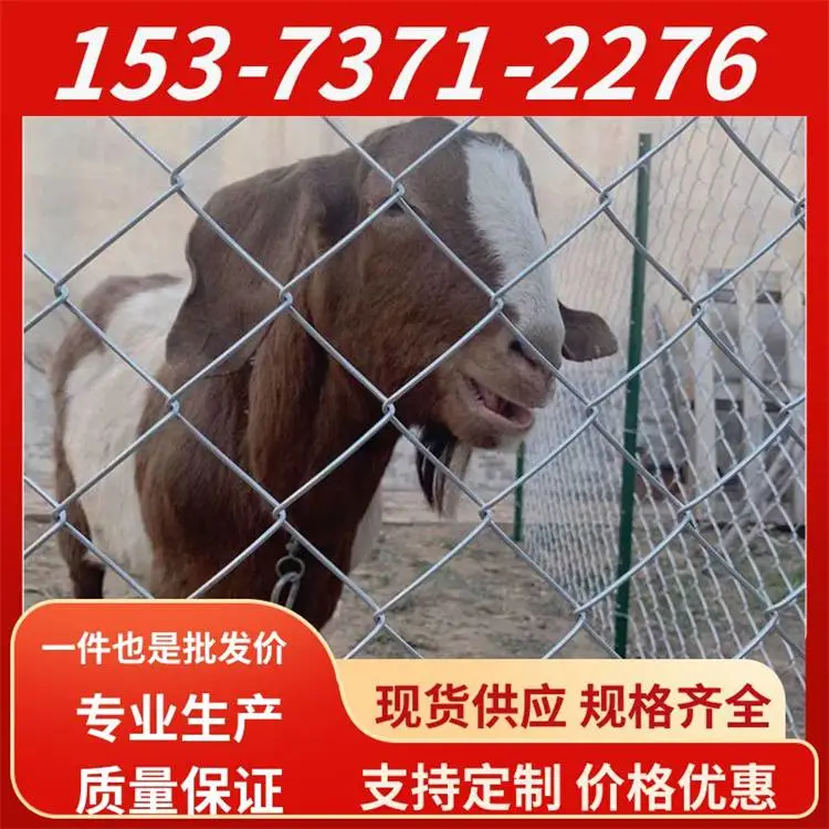 河 南周口 涵耀勾花网厂 圈地养殖网 景区防护热镀锌铁丝网