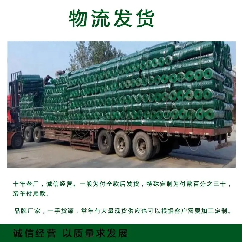 厂家供应 养殖荷兰网 养鸡铁丝网 浸塑护栏网