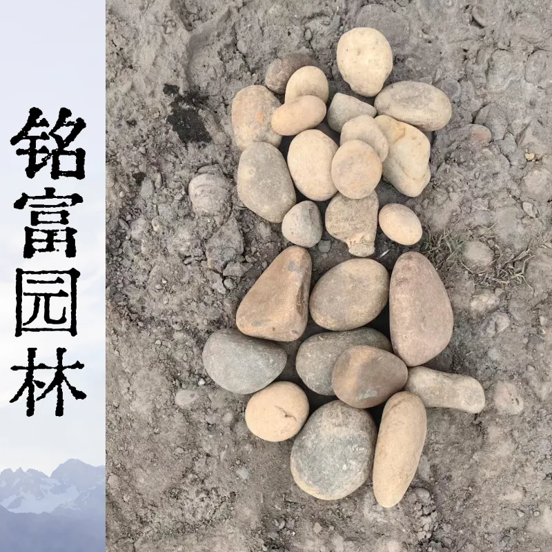 高压变电站绝缘鹅卵石 滤油散热大小均匀工程铺路石料