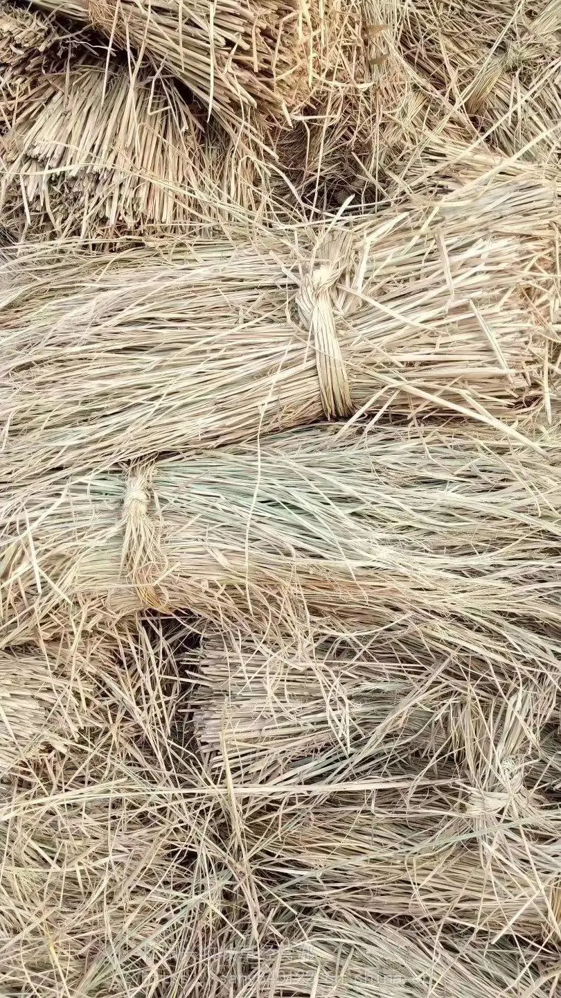 稻草干草铡段 全国发货 牛羊草干秸秆料 牛草干料 稻草秸粉碎纤维 马牛驴鹿干牧草饲料 稻草秸秆草料