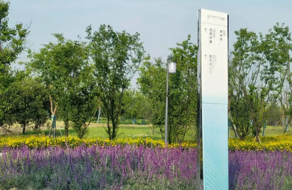【鱼群不锈钢雕塑制作厂家 青海海东 成都公园景区道路标识标牌