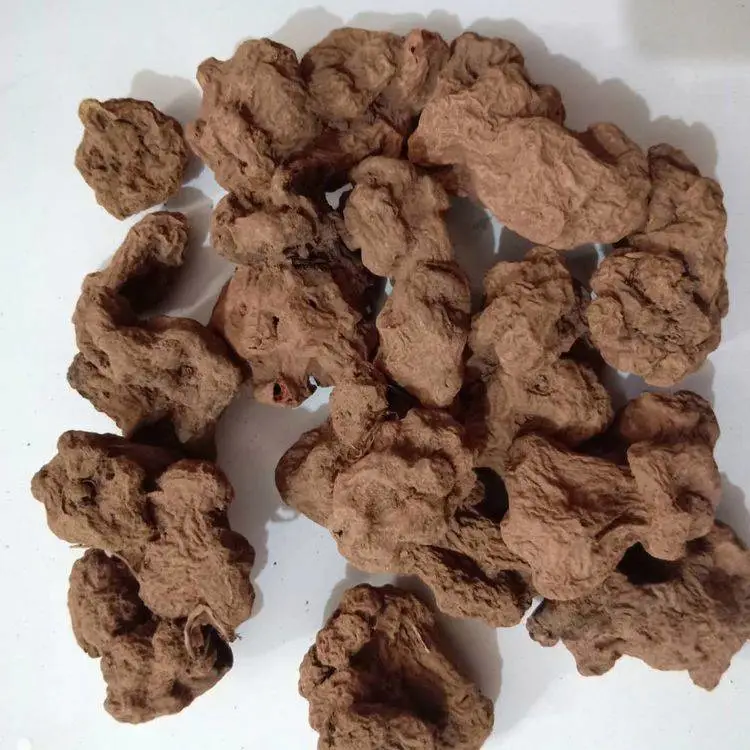 朱砂莲 驻马店野生中药材朱砂莲