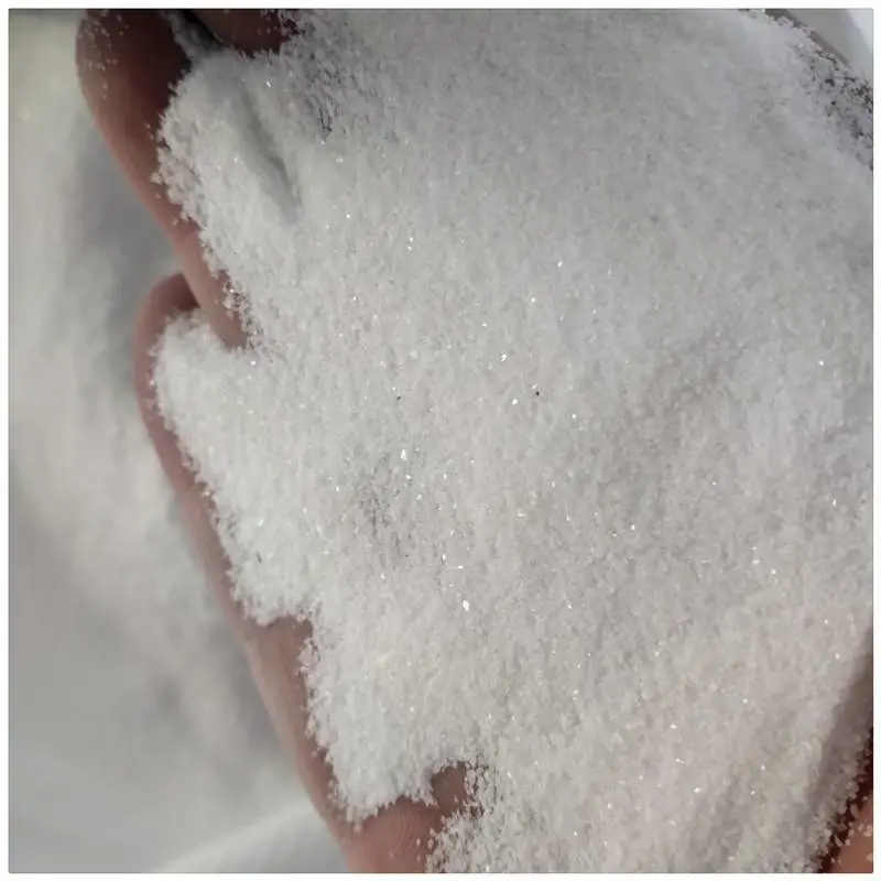 海滨供应白沙子 水处理用白沙子 烟灰缸用白沙子