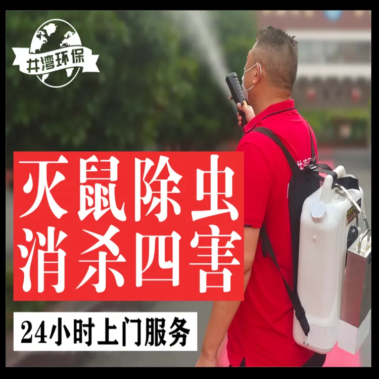 上海抓耗子抓老鼠公司-家庭灭鼠快速上门-上海专业灭四害服务