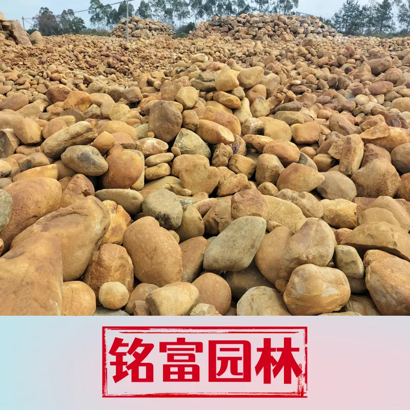 30-50厘米的黄蜡石批发基地，小型黄蜡石批发市场 在 哪 里