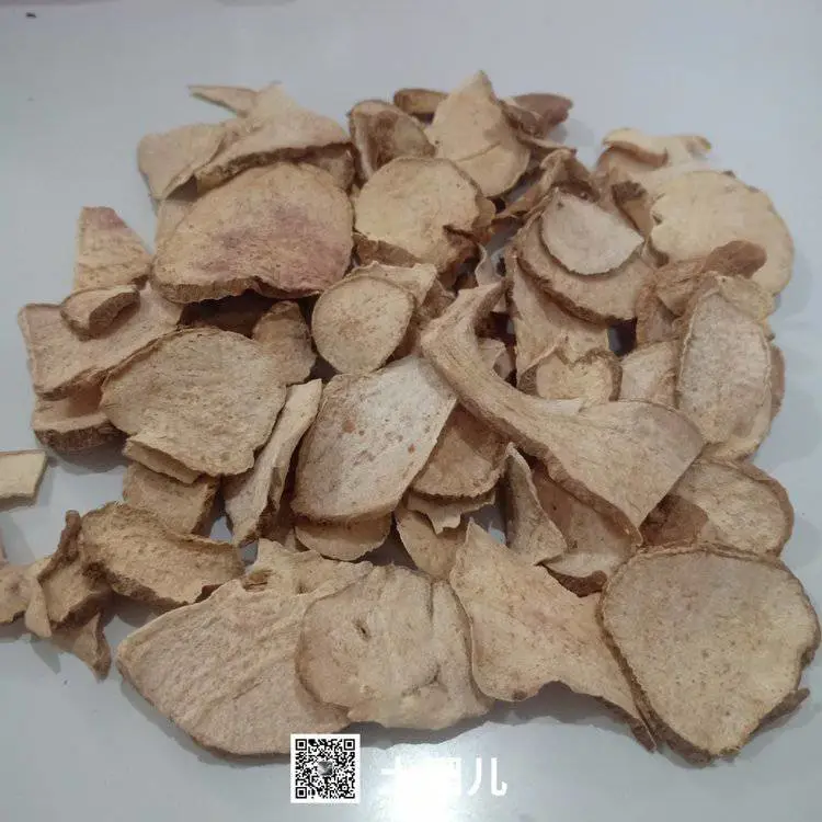 中药材土圞儿/土圞儿哪里买得到