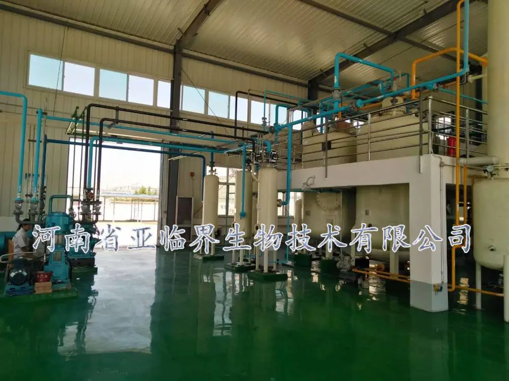 10吨文冠果籽油油脂设备