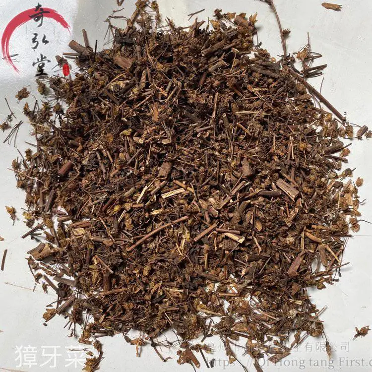 出售獐牙菜 獐牙菜供应