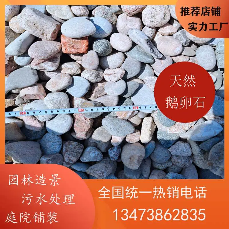 河道护坡鹅卵石20-30厘米 别墅庭院造景卵石 盆栽铺面填充材料