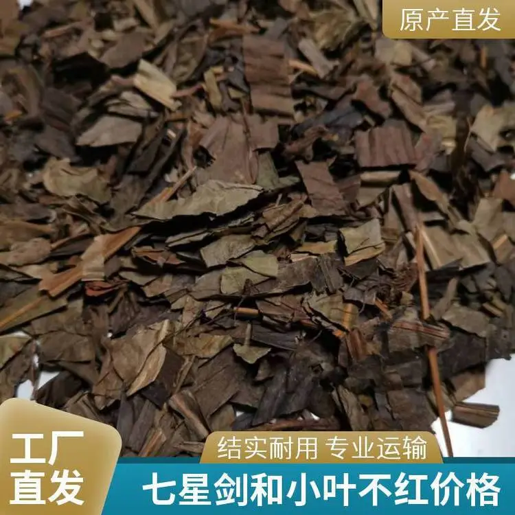 深山采挖七星剑/小叶不红野生全国包邮产地批发奇弘堂