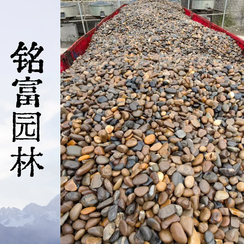 国标变电站鹅卵石 变压器池专用光滑圆润抗压滤水石料