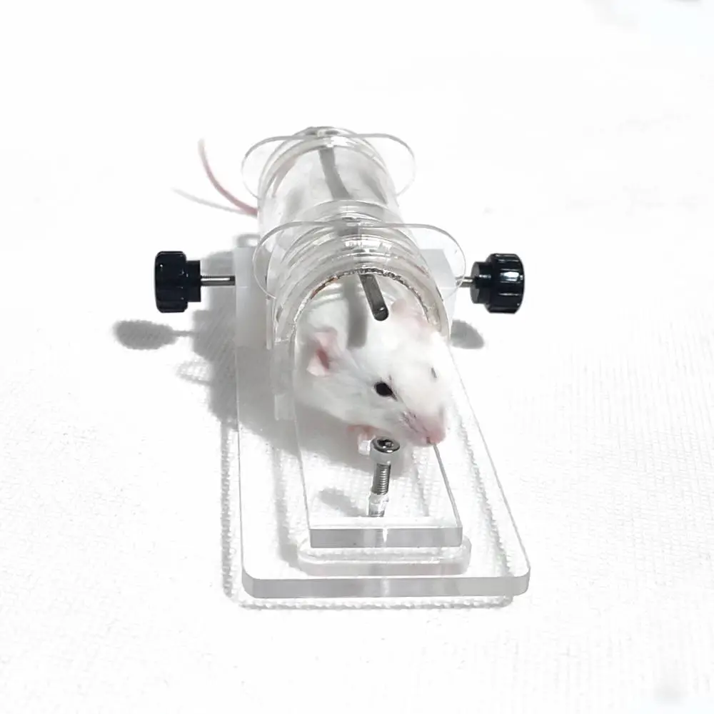 小鼠固定器大小鼠行为限制器保定器鼠尾静脉注射实验现货- 供应商网