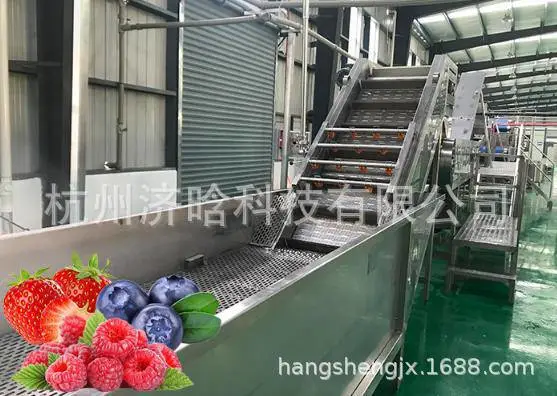 浆果类加工生产线6