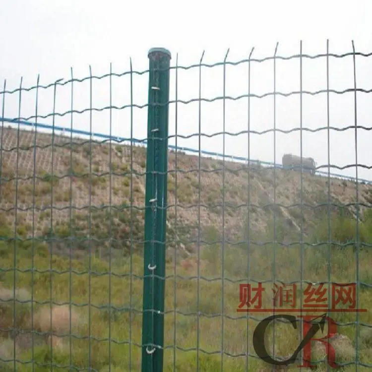 卷状养殖网 财润 荷兰网厂家 养殖荷兰网批发