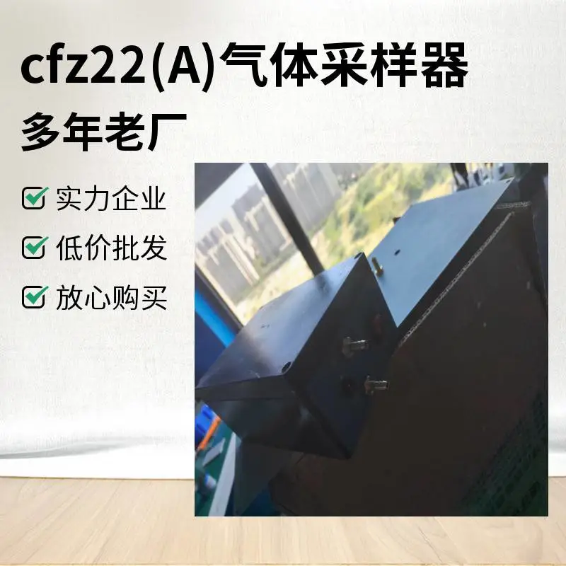 CFZ22(A)气体自动负压采样器