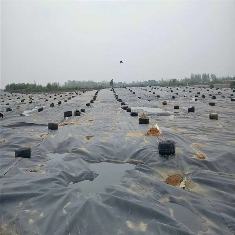 邯郸垃圾场养猪场2.0HDPE防渗膜 RunYe/润业土工鱼池护坡防逃膜的优势