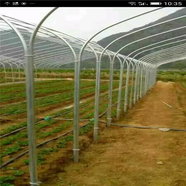 杭州内保温连栋大棚大棚管橘子大棚造价
