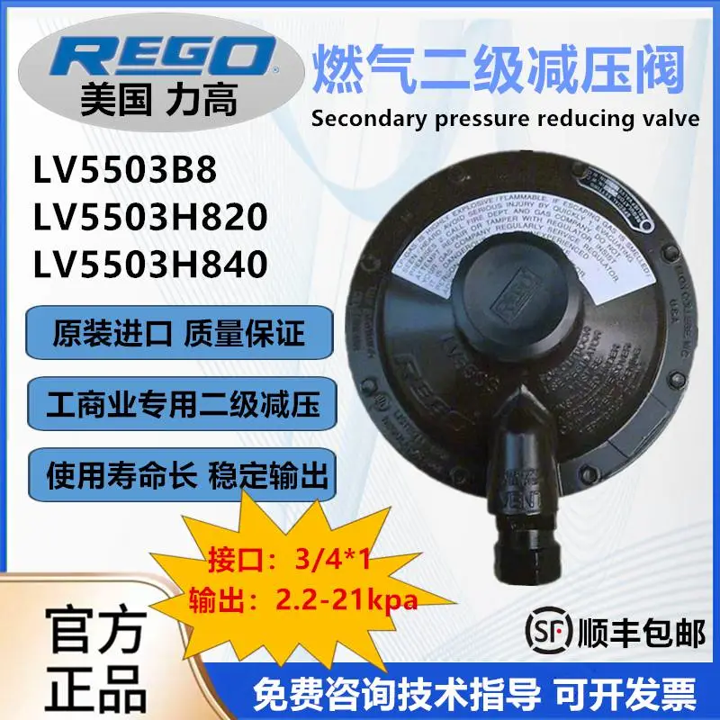 美国REGO力高工商业餐馆专用液化天燃气LV5503H820燃气减压阀