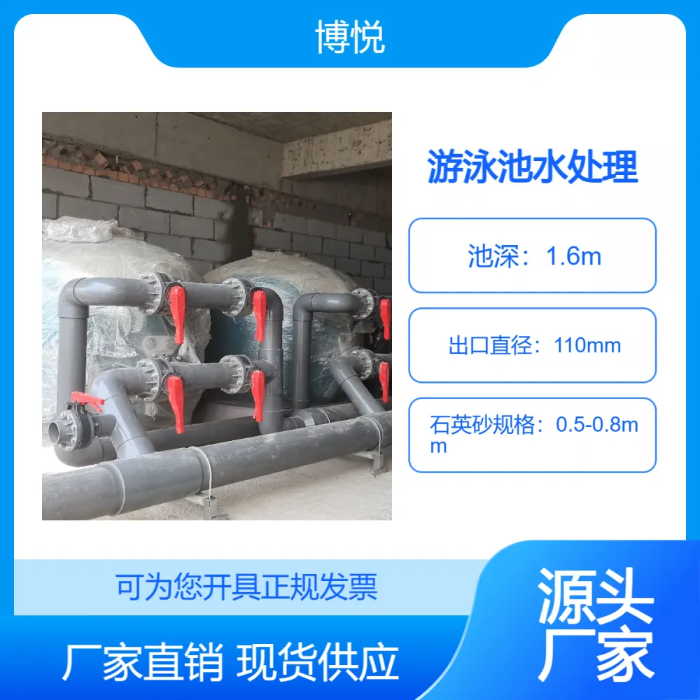 学校体育馆游泳池水处理设备 可选臭氧消毒 恒温加热除湿设备