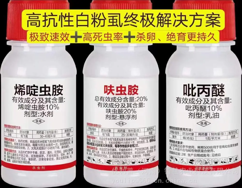 打不住的白粉虱解决方案，优利普抗性白粉虱解决配方专打抗性白粉虱