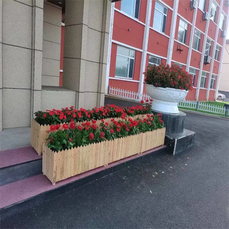 大花地园林 专业做花镜 公园景观施工 园林公司 花园植物 量身定做