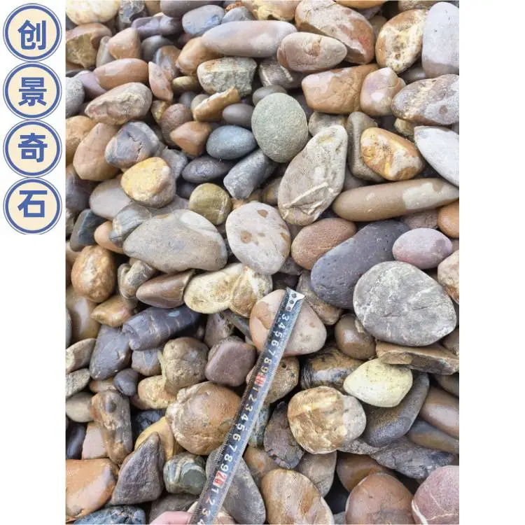中山南头鹅卵石基地出售 南头变压器鹅卵石报价 南头鹅卵石建筑工程