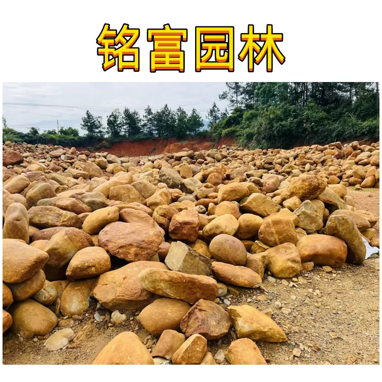 广 东假山石批发，探寻黄蜡石之美，园林造景的黄蜡石