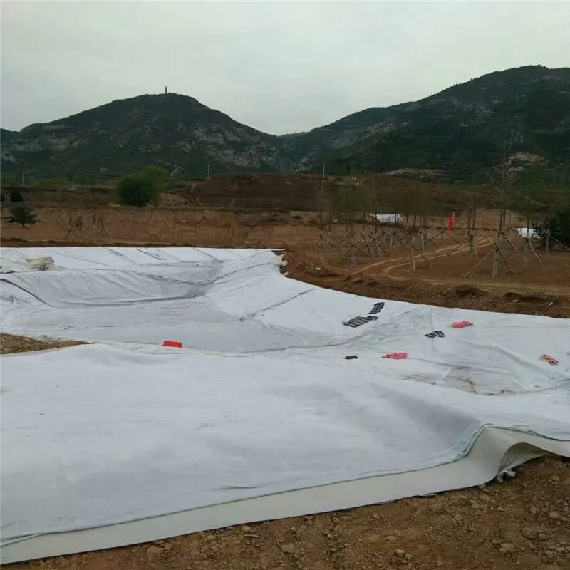 天津600g两布一膜 堤坝护坡 润业土工