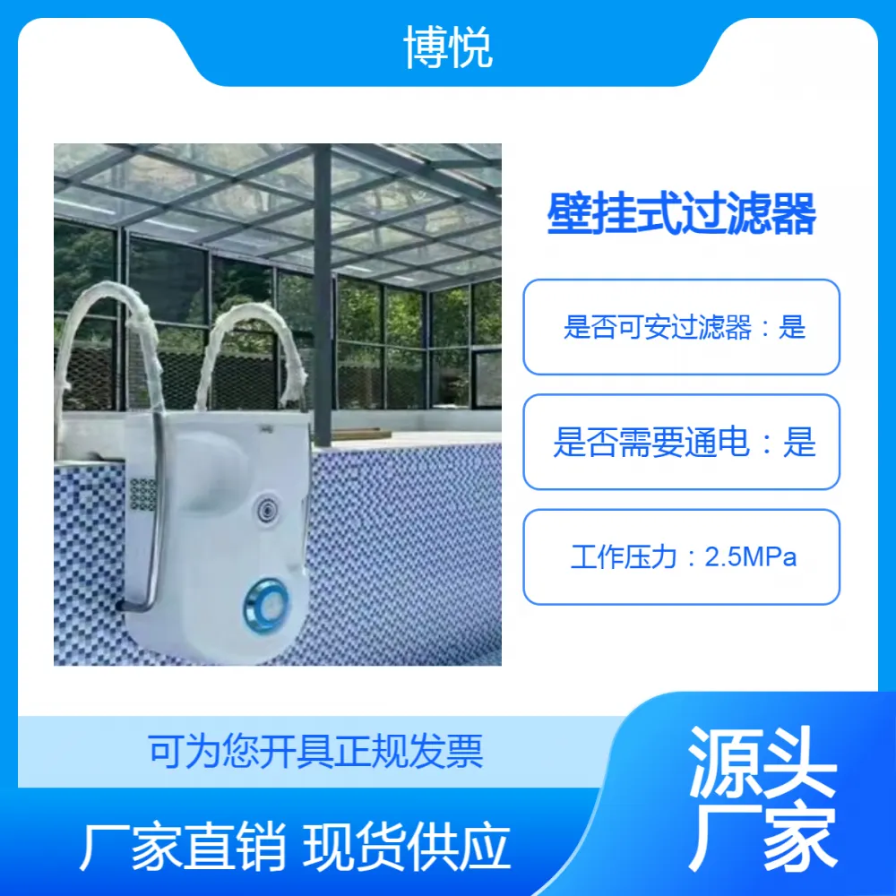 游泳池循环水处理 壁挂式一体化过滤器 适合别墅泳池安装简单