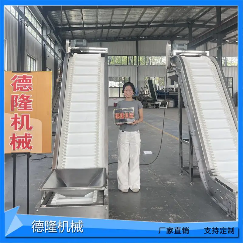调味品颗粒裙边皮带提升机薯片锅巴生产线饲料猫砂大倾角斜坡上料