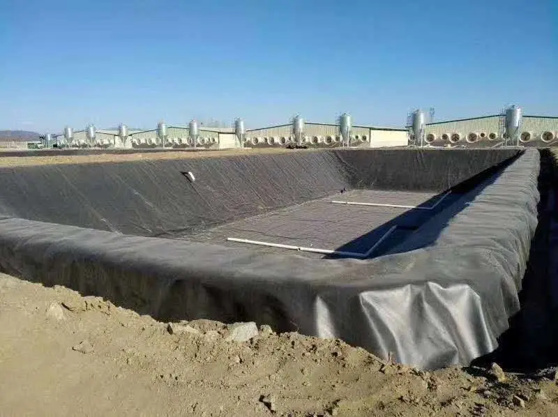 广东省惠州市垃圾填场封场土工膜 惠州市土工膜