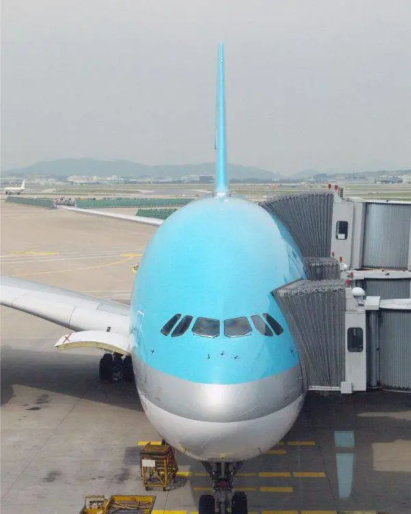 东南亚运输物流 国际空运海运泰国越南印尼等 货物服务运输 乐风