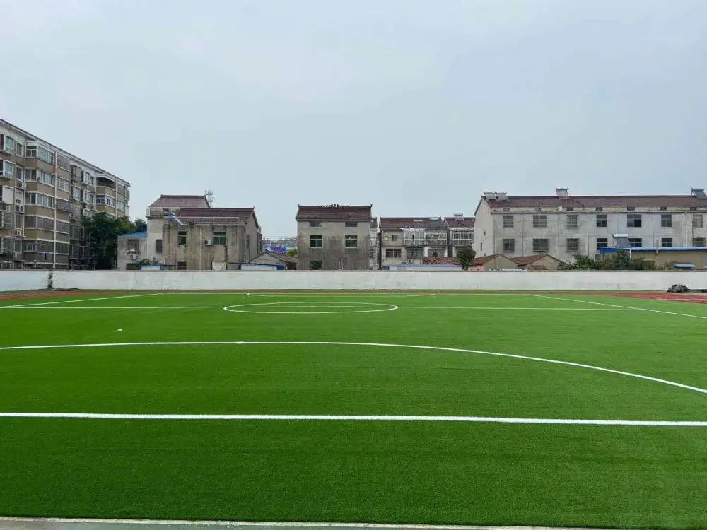 北京国先体育运动地板健身垫子人工人造仿真人造草坪经济耐用使用寿命长
